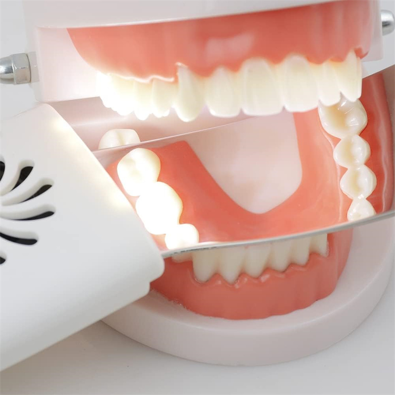 Cermin Antikabut Gigi dengan L - Photography Dental ulasan dan harga