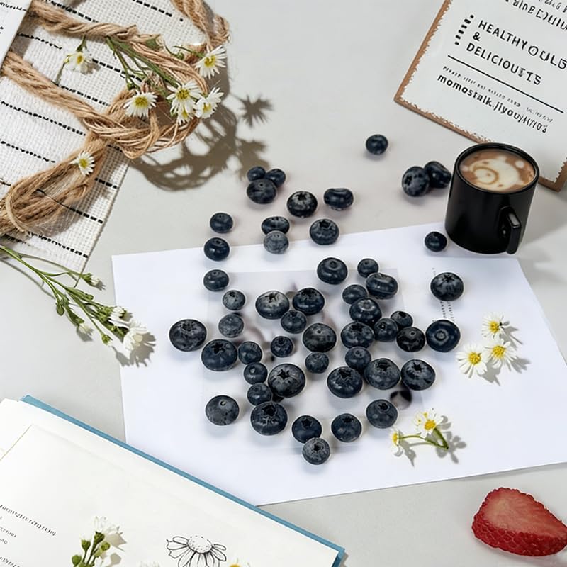 Blueberry Palsu, Buah Tiruan R - Photography Food ulasan dan harga